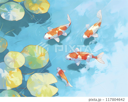 錦鯉と睡蓮の葉 錦鯉と睡蓮の葉 117804642