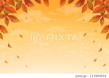 秋のフレーム背景　木々と落ち葉　夕焼け 117804658
