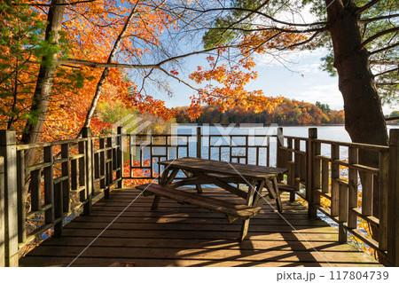 Wooden bench on the lake shore in autumn. Seigneurial Lake, Mont-Saint-Bruno National Park, Saint-Bruno-de-Montarville, Quebec, Canada. 117804739