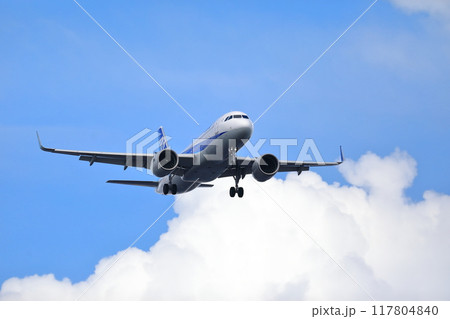 旅客機の離着陸　イメージ 117804840