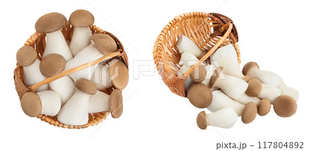 King Oyster mushroom or Eringi in wicker basket isolated on white background . Top view. Flat lay King Oyster mushroom or Eringi in wicker basket isolated on white background . Top view. Flat lay 117804892