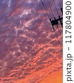 夕焼けに染まる雲 117804900