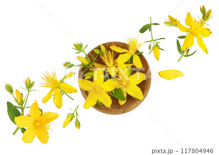 saint john's wort or Hypericum flowers in wooden bowl isolated on white background. Top view. Flat lay 117804946