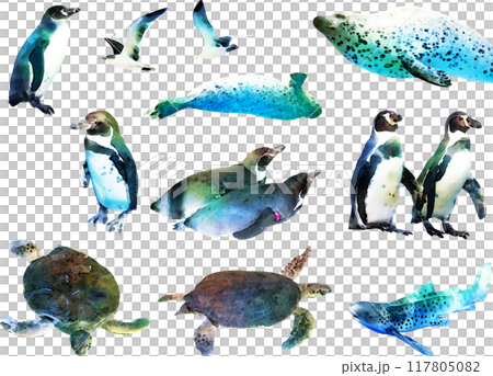 海洋生物插畫素材套裝2（企鵝等） 117805082