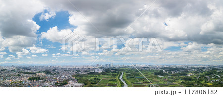 空撮「埼玉県」夏空広がる見沼田んぼの風景 さいたま市 空撮「埼玉県」夏空広がる見沼田んぼの風景 さいたま市 117806182