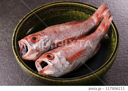 ノドグロ 117806211