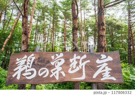 「岩手県」鵜の巣断崖展望台への入口 117806332