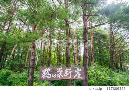 「岩手県」鵜の巣断崖展望台への入口 「岩手県」鵜の巣断崖展望台への入口 117806333