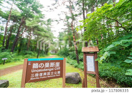 「岩手県」鵜の巣断崖展望台への入口 117806335