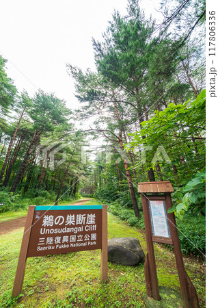 「岩手県」鵜の巣断崖展望台への入口 117806336