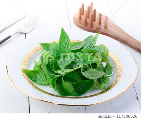 お皿に盛ったバジル お皿に盛ったバジル 117806620