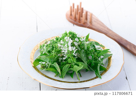 お皿に盛ったバジルの花 117806671