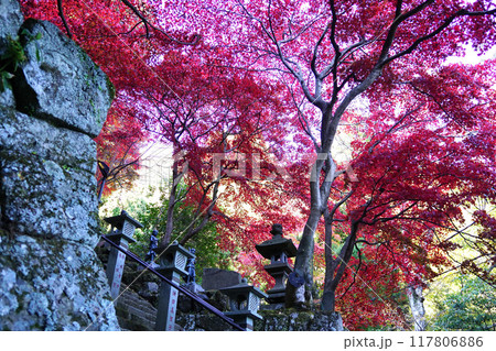 大山寺　紅葉 117806886