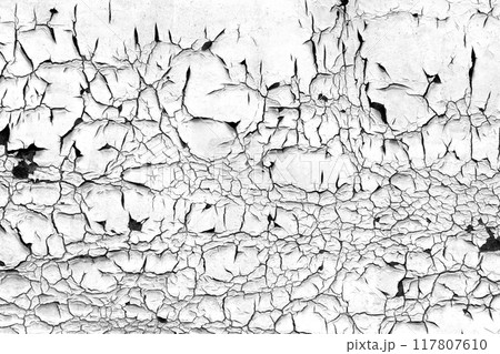 Distressed wall with flaking white paint with many peeling flakes forming a natural pattern. Abstract grunge background 117807610