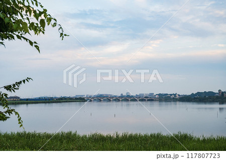 千葉 早朝の手賀沼 千葉 早朝の手賀沼 117807723