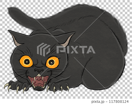 Illustration of a ghost cat 117808124