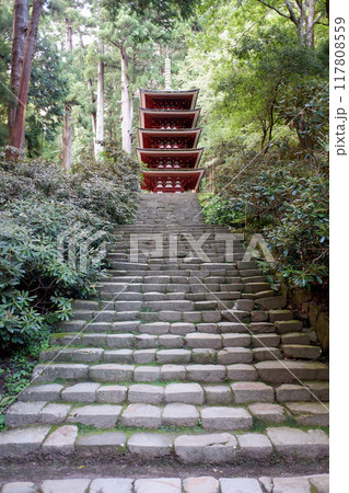 奈良県　室生寺・五重塔 117808559