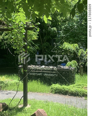 カセサート大学 カセサート大学 117808809