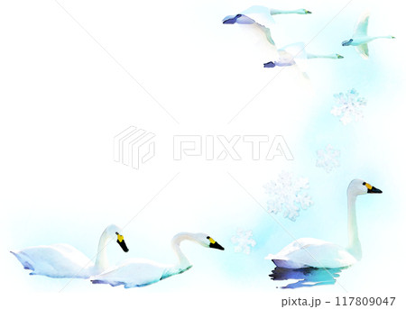透過イラストフレームー冬の白鳥と雪の結晶 透過イラストフレームー冬の白鳥と雪の結晶 117809047
