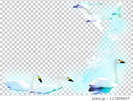 Transparent illustration frame - Winter swans and snowflakes 117809047