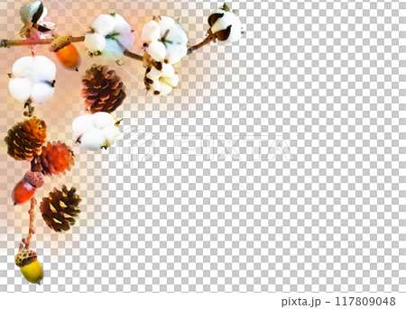 Transparent illustration frame - Winter image of cotton seeds and pine cones 117809048