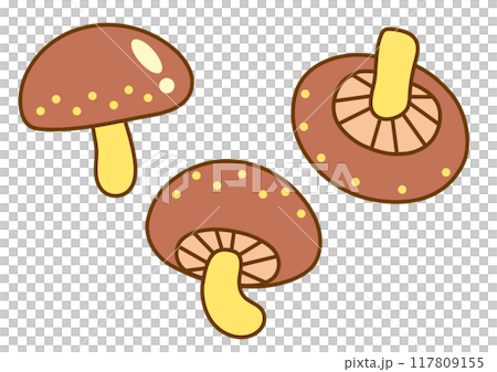 椎茸のイラストセット3 椎茸のイラストセット3 117809155