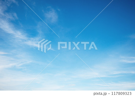 The sky is blue and clear with no clouds 117809323