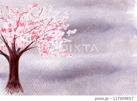 Pink sakura tree on purple granulated background horizontal card. Watercolor hand painted high quality nature design elements great for cards, banners, wedding invitations, beauty salons, tourist ads Pink sakura tree on purple granulated background horizontal card. Watercolor hand painted high quality nature design elements great for cards, banners, wedding invitations, beauty salons, tourist ads 117809657