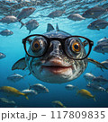 メガネをかけた魚 117809835