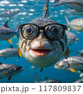 メガネをかけた魚 117809837