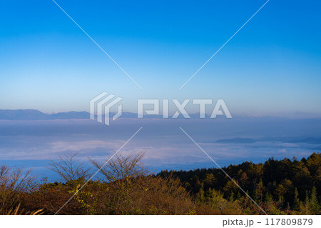 【雲海素材】秋の高ボッチ高原から見る北アルプス方面の雲海【長野県】 【雲海素材】秋の高ボッチ高原から見る北アルプス方面の雲海【長野県】 117809879