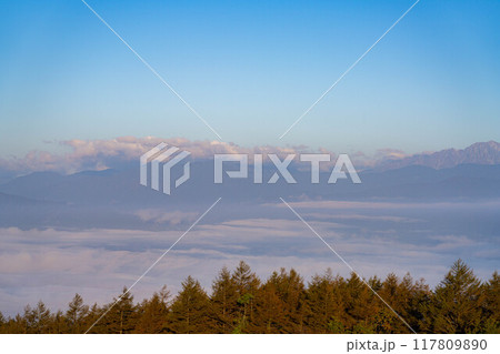 【雲海素材】秋の高ボッチ高原から見る北アルプス方面の雲海【長野県】 117809890