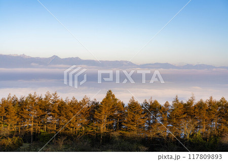【雲海素材】秋の高ボッチ高原から見る北アルプス方面の雲海【長野県】 【雲海素材】秋の高ボッチ高原から見る北アルプス方面の雲海【長野県】 117809893