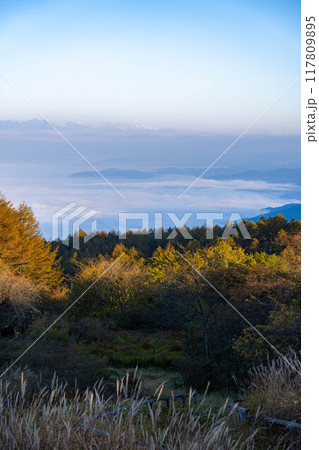 【雲海素材】秋の高ボッチ高原から見る北アルプス方面の雲海【長野県】 【雲海素材】秋の高ボッチ高原から見る北アルプス方面の雲海【長野県】 117809895