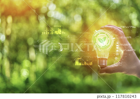 concept eco earth day. green tree growing in a light bulb On the background blurred image of green leaves and there is a golden light in the morning. energy saving and environmental protection. concept eco earth day. green tree growing in a light bulb On the background blurred image of green leaves and there is a golden light in the morning. energy saving and environmental protection. 117810243