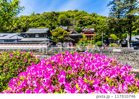 祐徳稲荷神社のツツジ 【佐賀県鹿島市】 祐徳稲荷神社のツツジ 【佐賀県鹿島市】 117810746