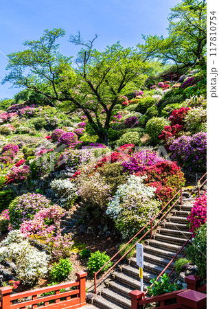 祐徳稲荷神社のツツジ　【佐賀県鹿島市】 117810754