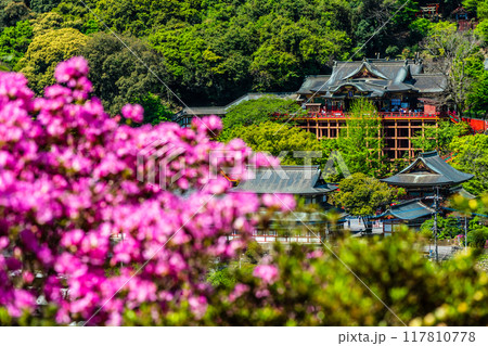 祐徳稲荷神社のツツジ 【佐賀県鹿島市】 祐徳稲荷神社のツツジ 【佐賀県鹿島市】 117810778
