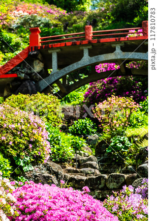 祐徳稲荷神社のツツジ　【佐賀県鹿島市】 117810783