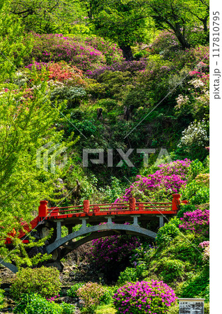祐徳稲荷神社のツツジ　【佐賀県鹿島市】 117810795