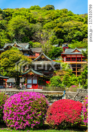 祐徳稲荷神社のツツジ 【佐賀県鹿島市】 祐徳稲荷神社のツツジ 【佐賀県鹿島市】 117810799