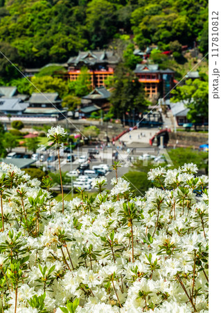 祐徳稲荷神社のツツジ　【佐賀県鹿島市】 117810812