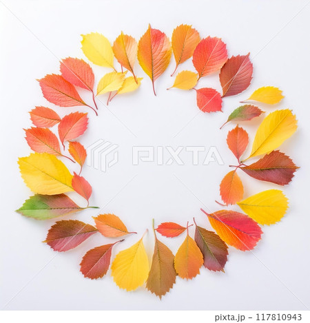 白背景の紅葉のフレーム 117810943