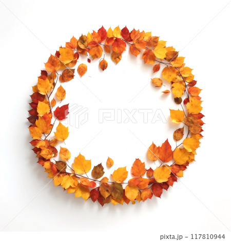 白背景の紅葉のフレーム 白背景の紅葉のフレーム 117810944