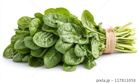 Fresh Organic Spinach Bunch Tied with Twine Isolated on White Background Fresh Organic Spinach Bunch Tied with Twine Isolated on White Background 117811058
