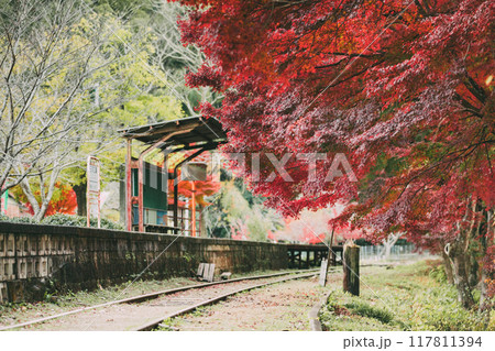 三河広瀬駅の紅葉と四季桜 117811394