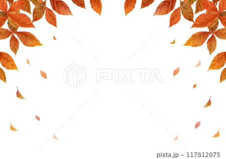 秋の葉フレーム　落ち葉　白背景　透過 117812075