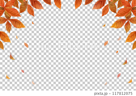 秋の葉フレーム　落ち葉　白背景　透過 117812075