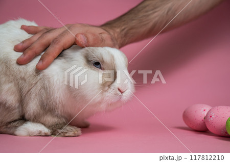 Easter Bunny on a pink background with colorful painted eggs. Man petting a cute rabbit.  117812210