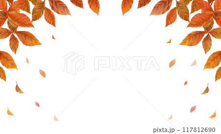 秋の葉フレーム　落ち葉　白背景　透過　16:9 117812690